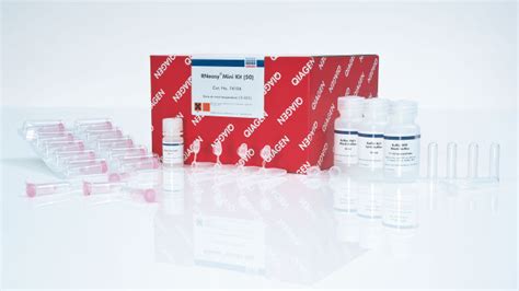 RNeasy Kits .